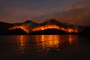 Combatendo incêndios florestais em Niterói