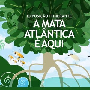 A Mata Atlântica é Aqui