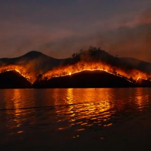 Combatendo incêndios florestais em Niterói